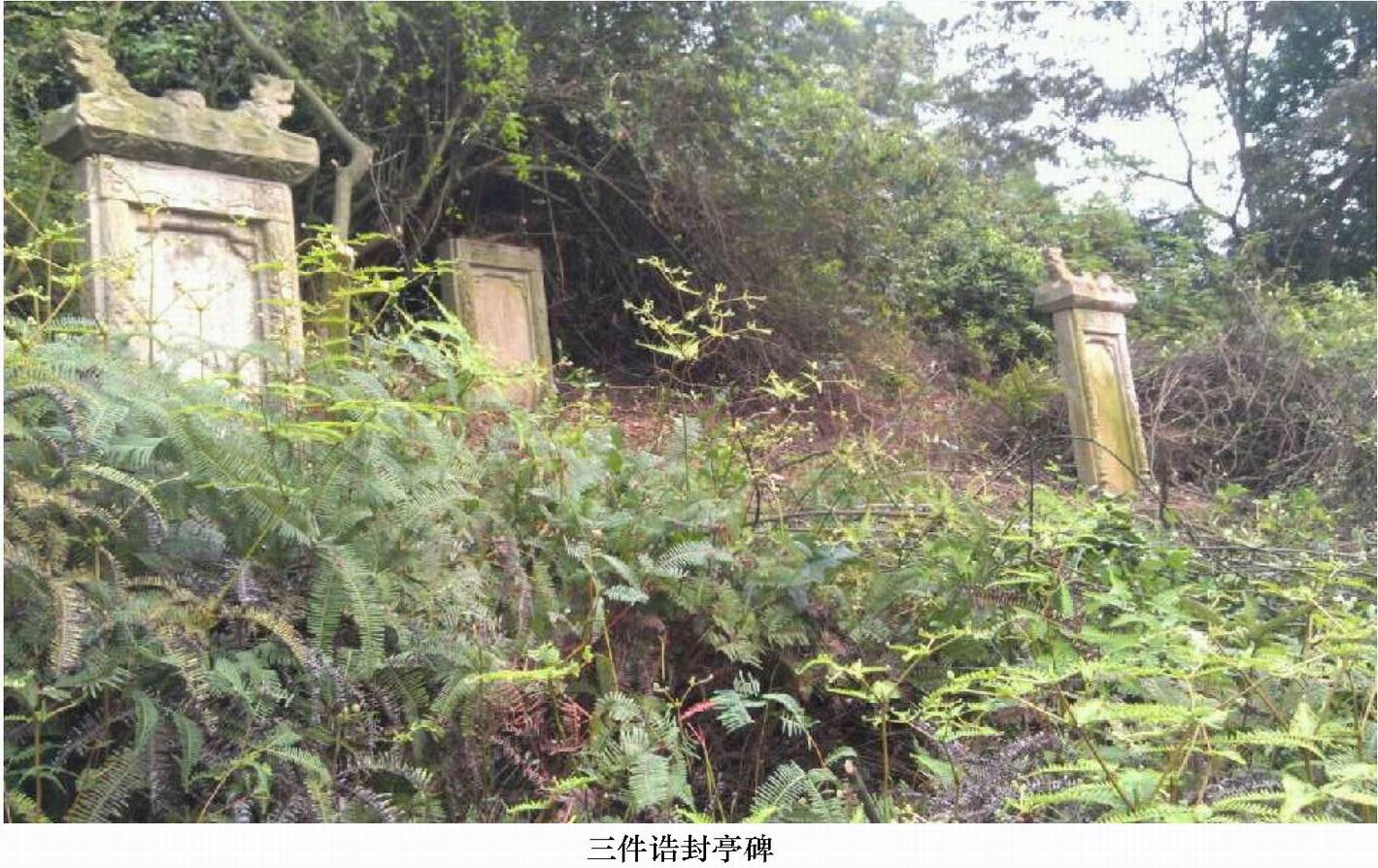 ������Ĺ - ��_Page_1.jpg