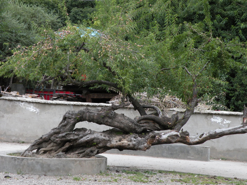 �Ҥ�iphone 194.jpg