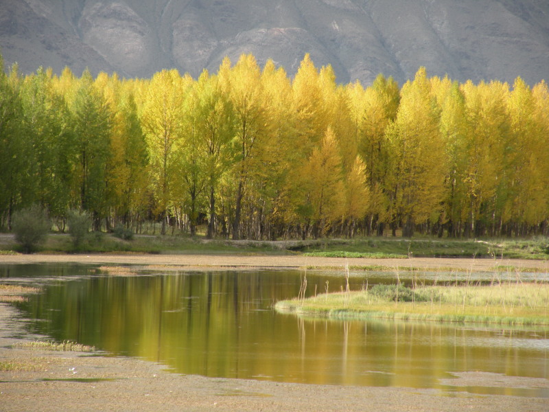 �Ҥ�iphone 293.jpg