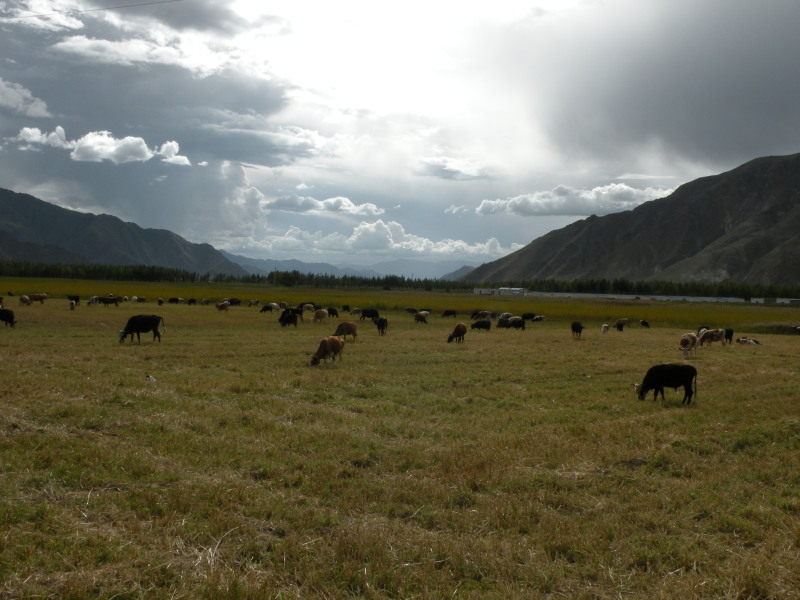 �Ҥ�iphone 281.jpg