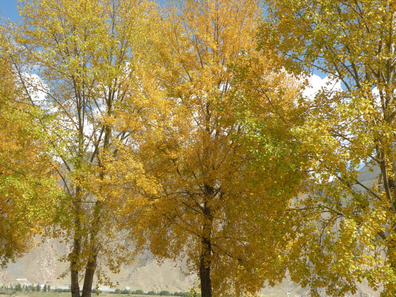 �Ҥ�iphone 427.jpg