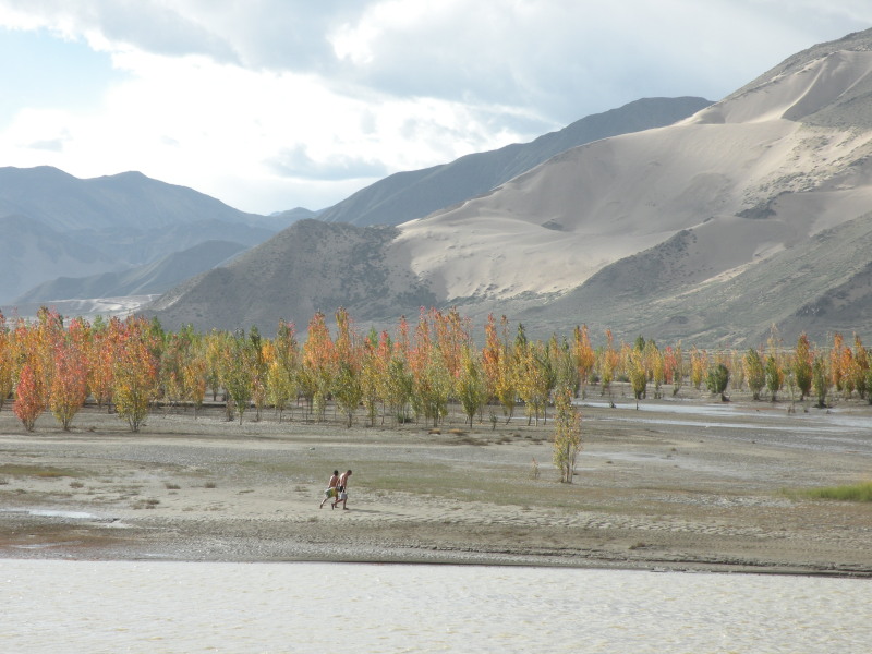 �Ҥ�iphone 462.jpg