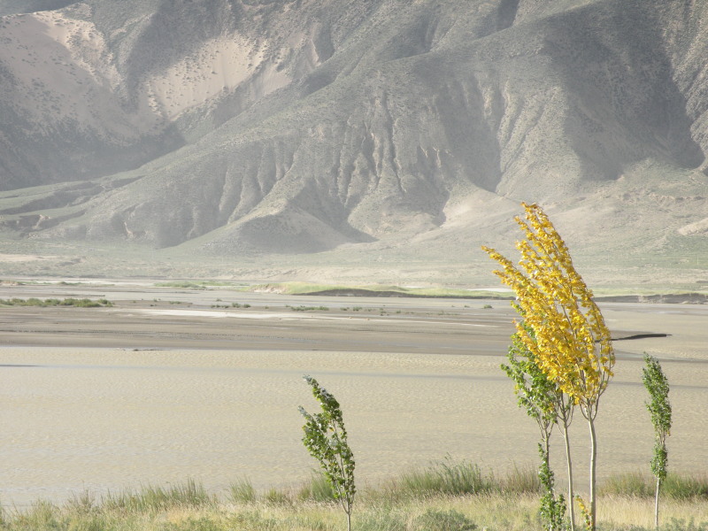 �Ҥ�iphone 456.jpg