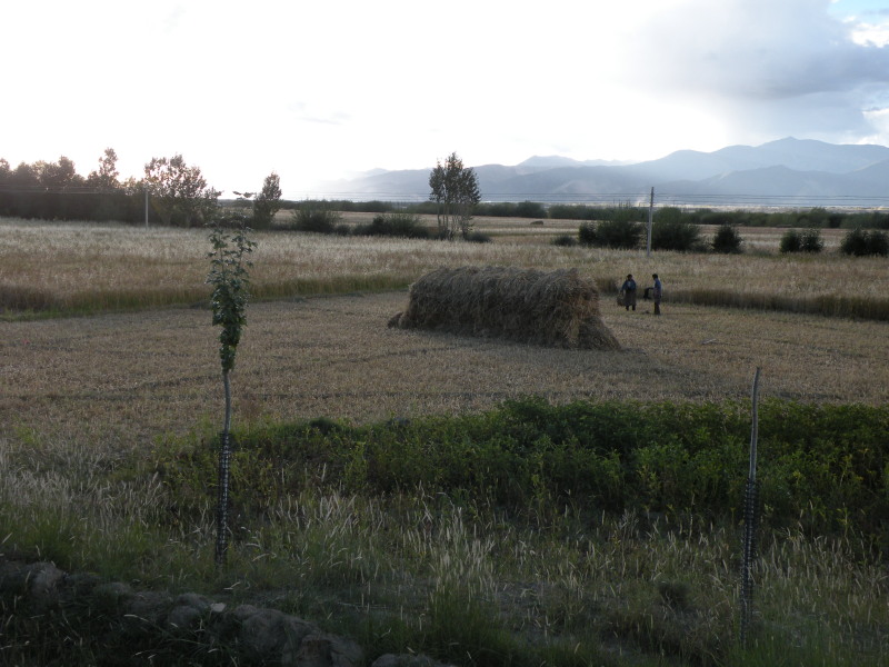 �Ҥ�iphone 505.jpg