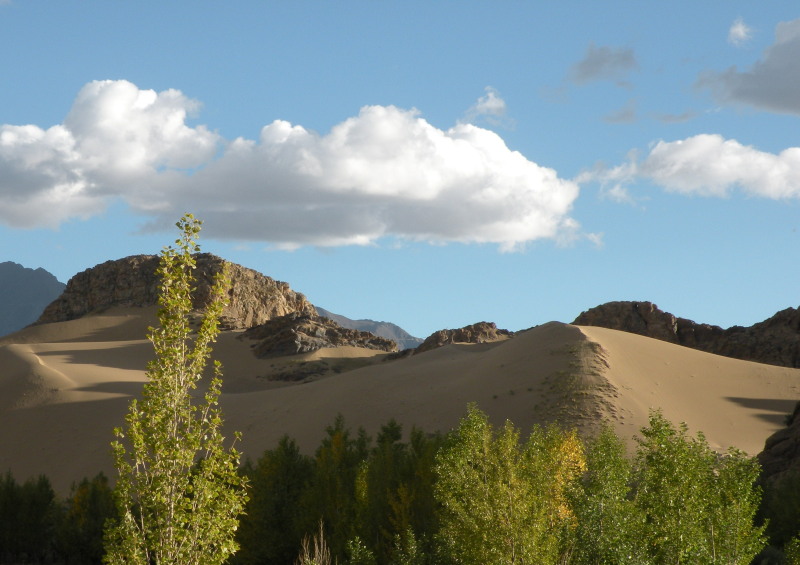 �Ҥ�iphone 503.jpg