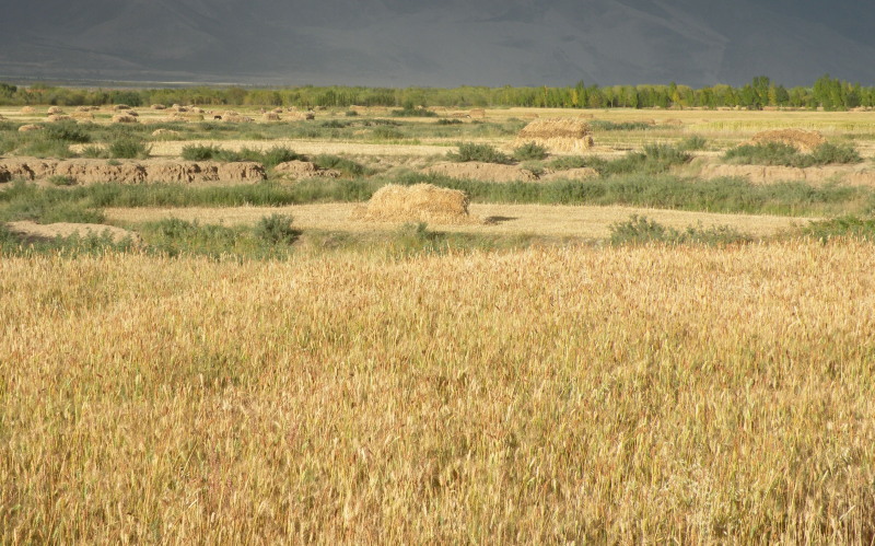 �Ҥ�iphone 497.jpg