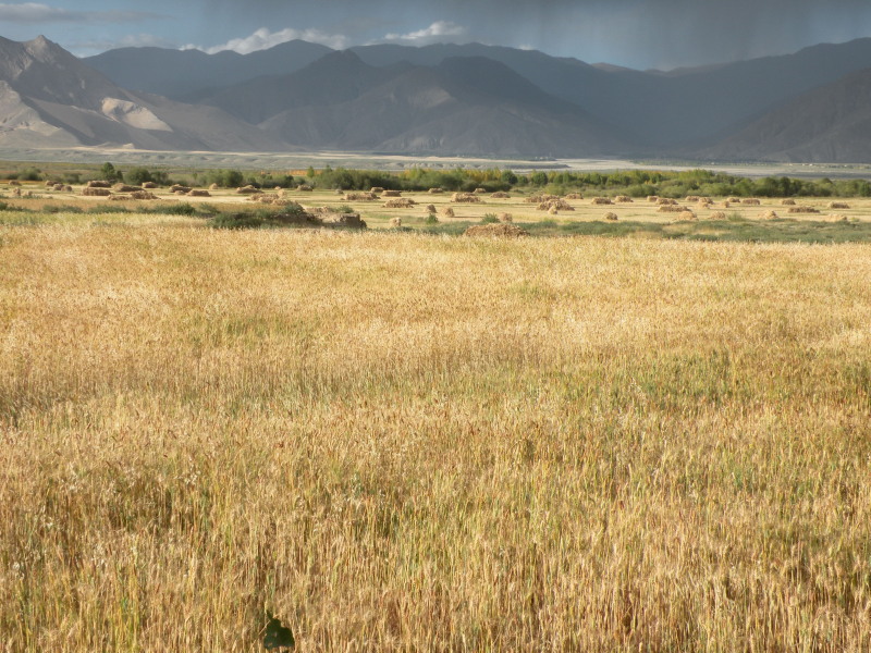 �Ҥ�iphone 495.jpg