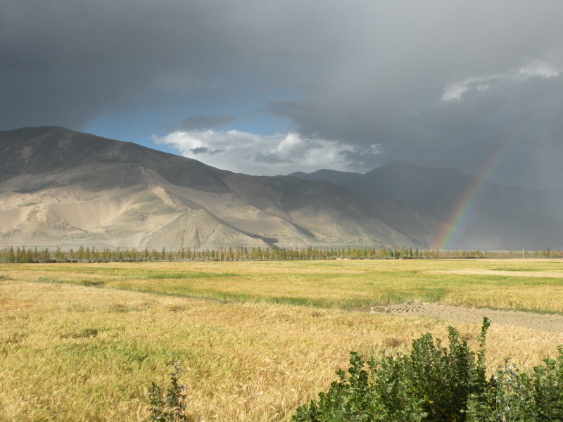 �Ҥ�iphone 483.jpg