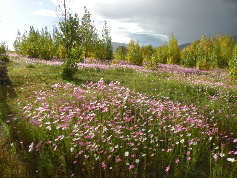 �Ҥ�iphone 477.jpg