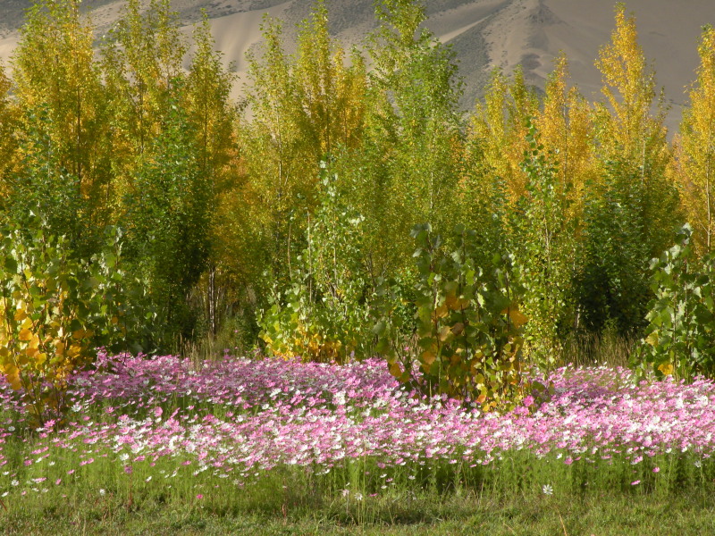 �Ҥ�iphone 475.jpg