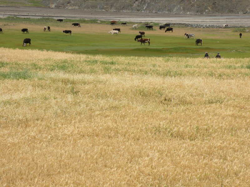 �Ҥ�iphone 564.jpg