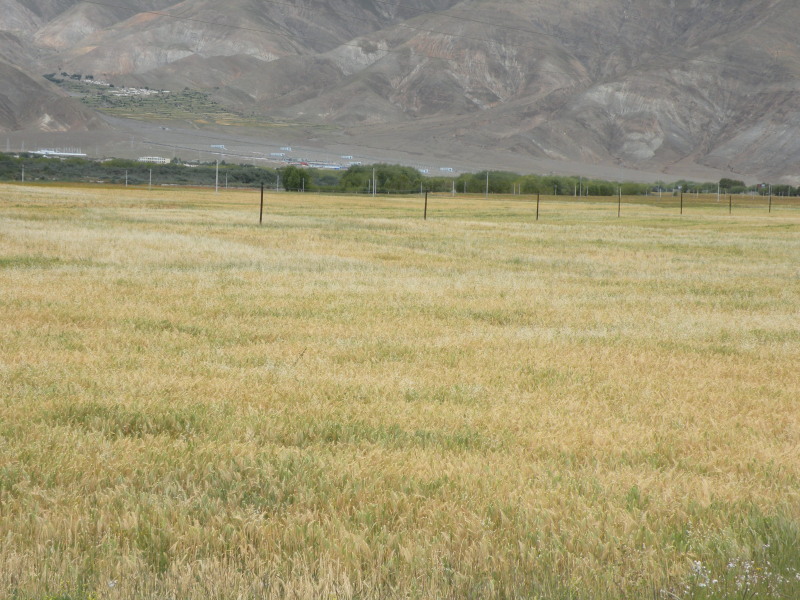 �Ҥ�iphone 560.jpg