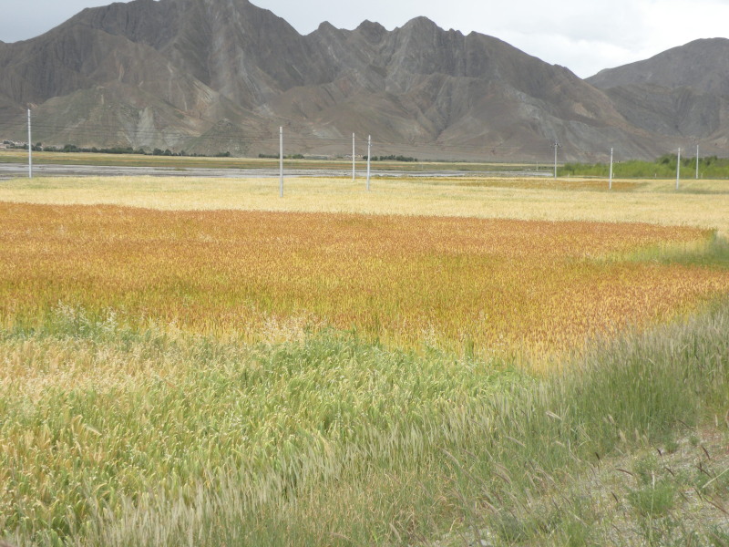 �Ҥ�iphone 552.jpg