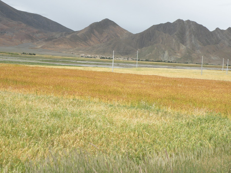 �Ҥ�iphone 551.jpg