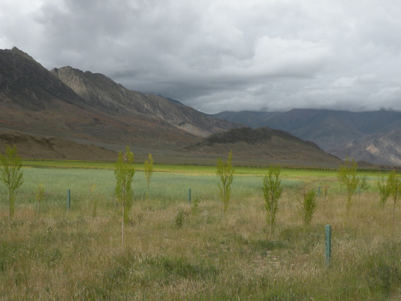 �Ҥ�iphone 549.jpg