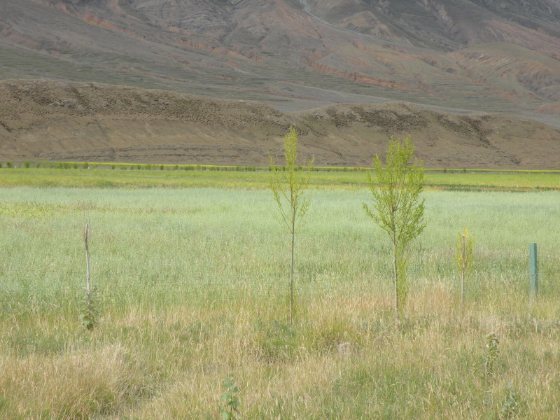 �Ҥ�iphone 548.jpg