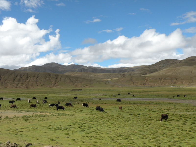 �Ҥ�iphone 620.jpg