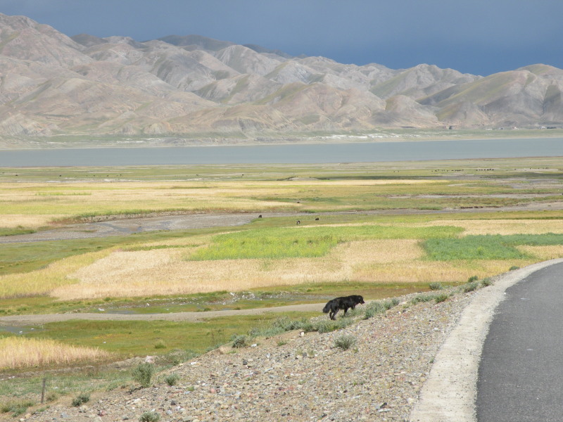 �Ҥ�iphone 615.jpg