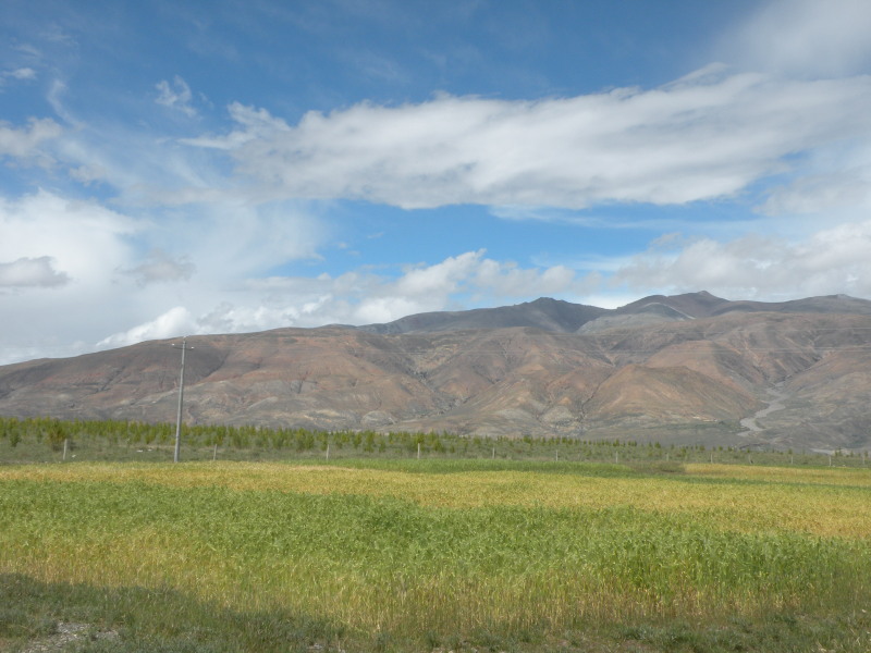 �Ҥ�iphone 584.jpg