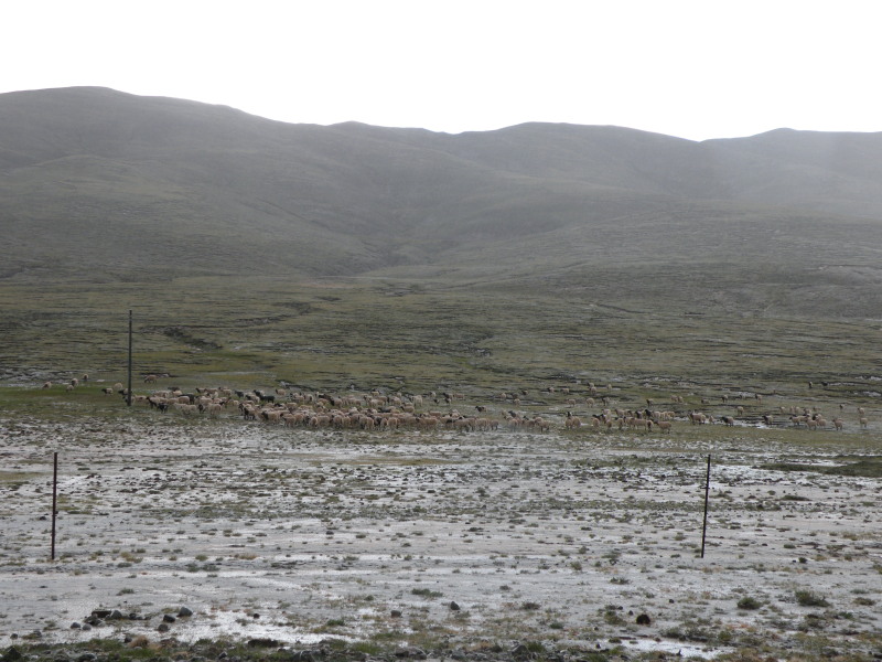 �Ҥ�iphone 648.jpg