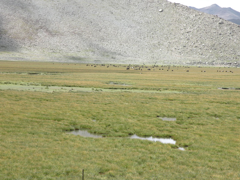 �Ҥ�iphone 709.jpg