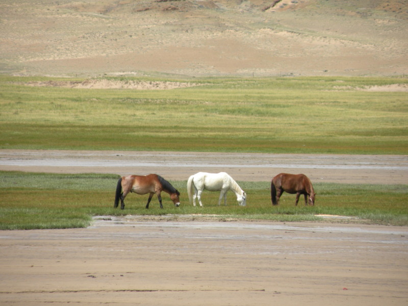 �Ҥ�iphone 743.jpg