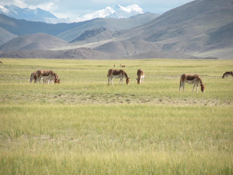 �Ҥ�iphone 844.jpg