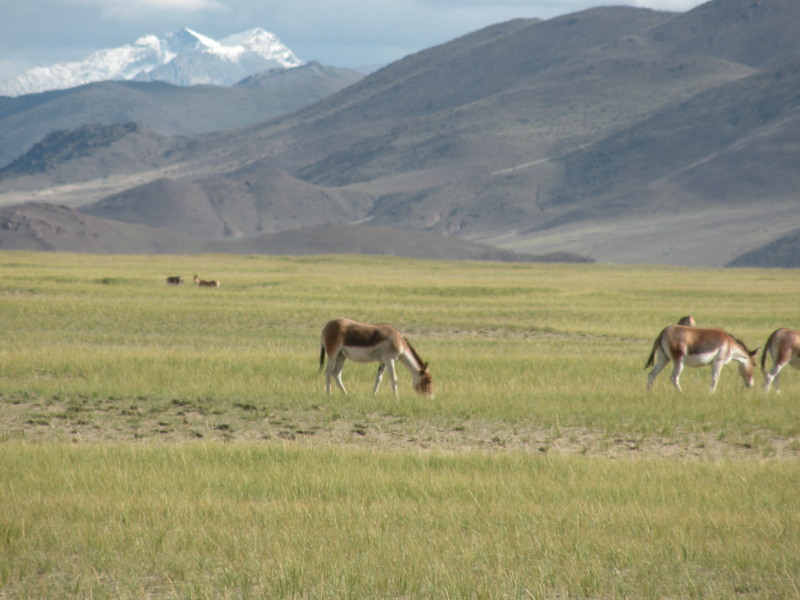 �Ҥ�iphone 841.jpg