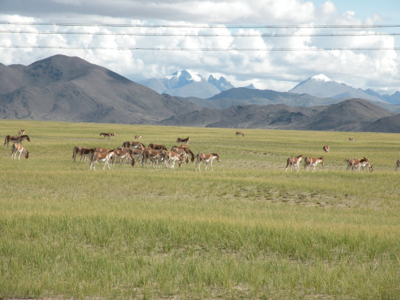 �Ҥ�iphone 839.jpg