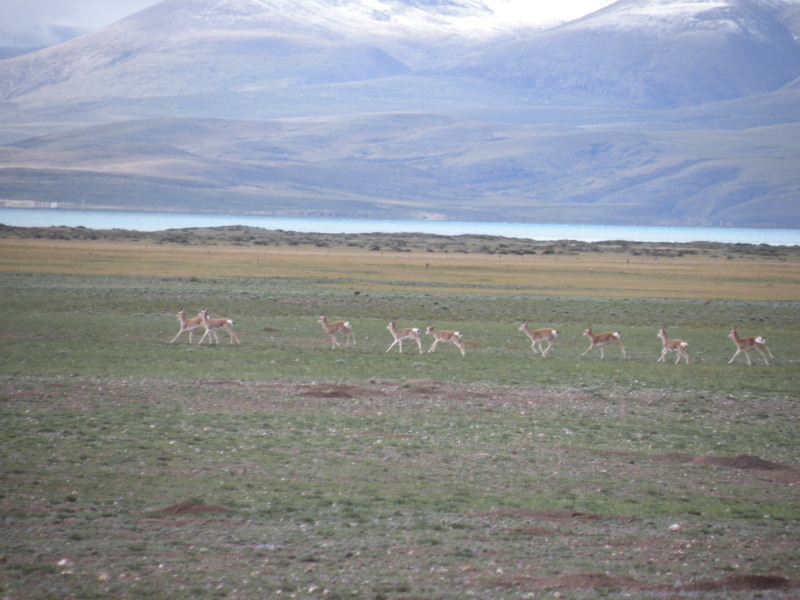 �Ҥ�iphone 891.jpg