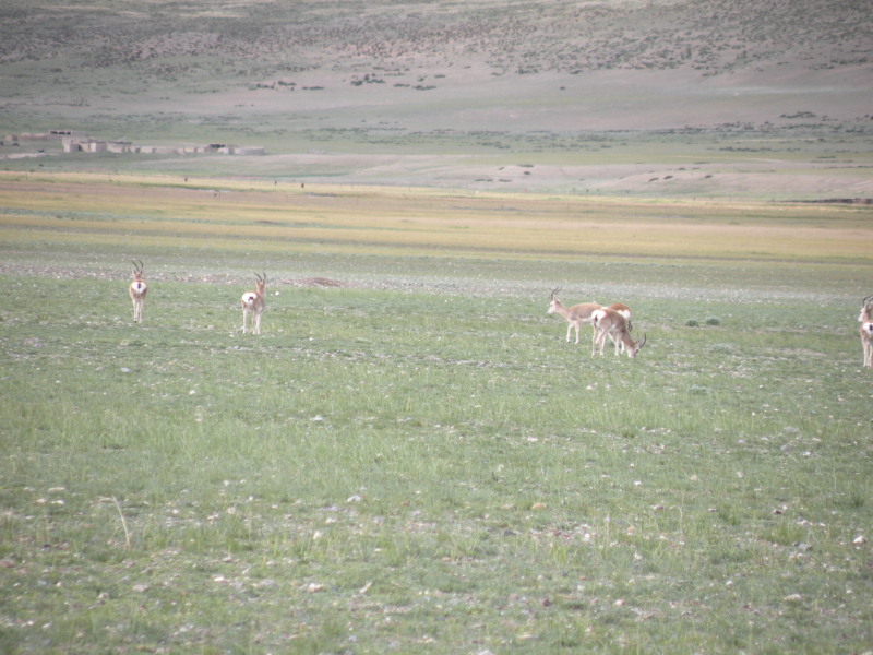 �Ҥ�iphone 886.jpg