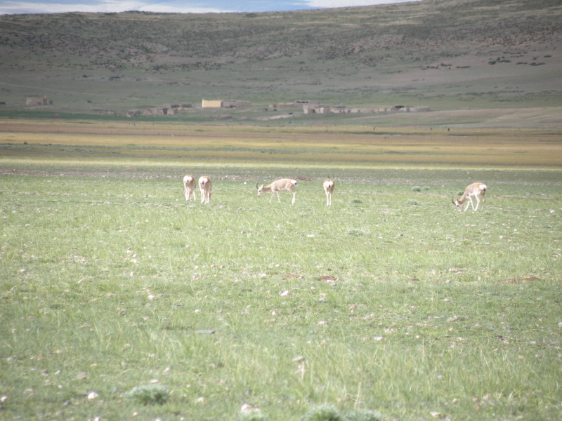 �Ҥ�iphone 882.jpg