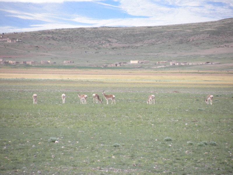 �Ҥ�iphone 880.jpg