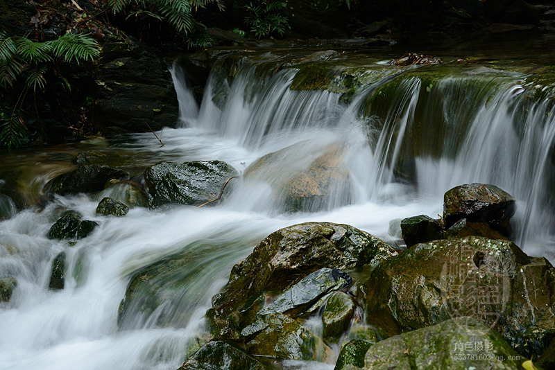 DSC_5752 ����ɽ�ٲ������Ρ���̬����������.jpg