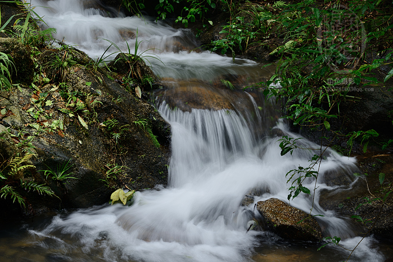 DSC_6293����ɽ�ٲ������Ρ���̬���������� .jpg