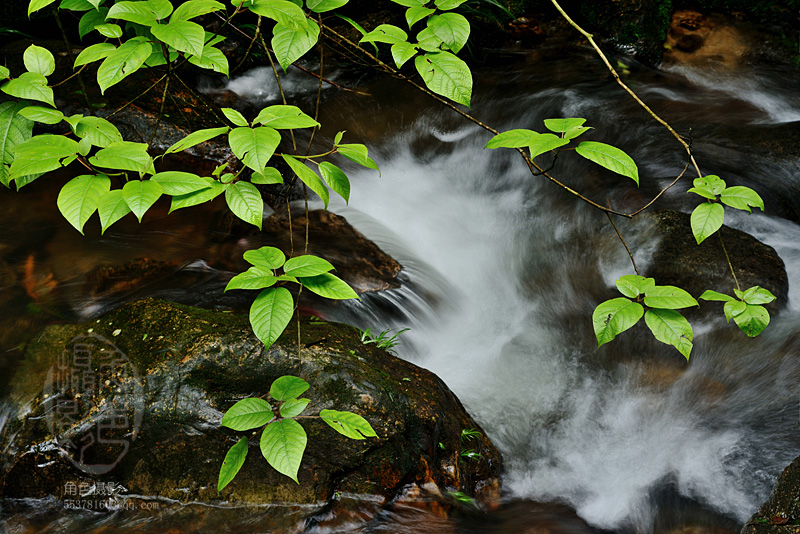 DSC_6307����ɽ�����Ρ���̬���������� .jpg