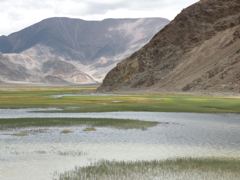 �Ҥ�iphone 1116.jpg