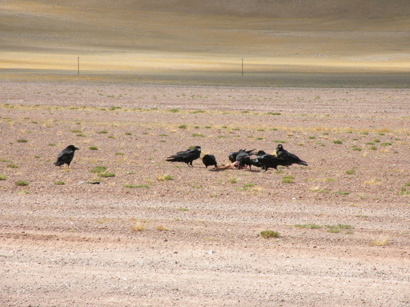 �Ҥ�iphone 1181.jpg