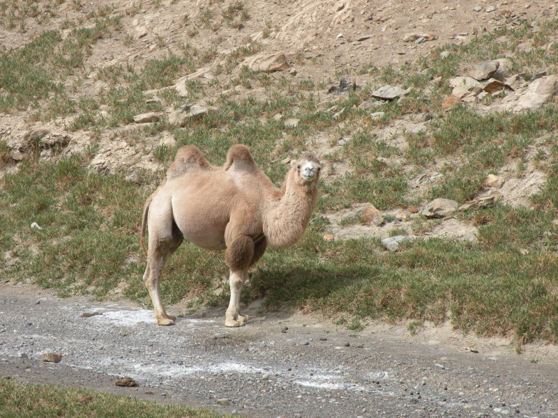 �Ҥ�iphone 1339.jpg