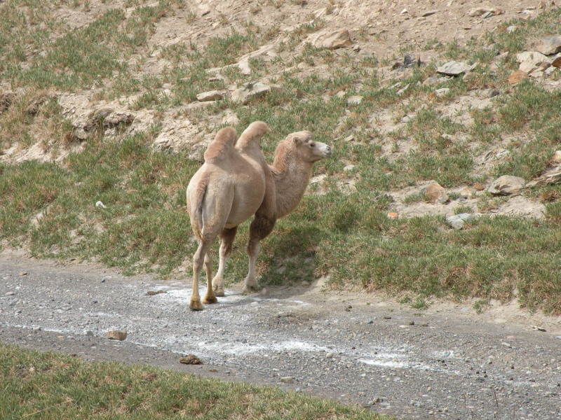 �Ҥ�iphone 1338.jpg