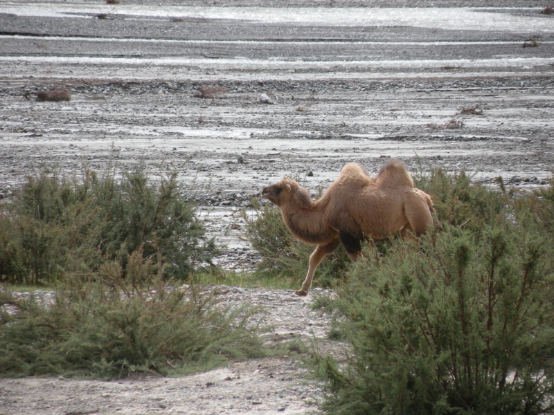 �Ҥ�iphone 1334.jpg