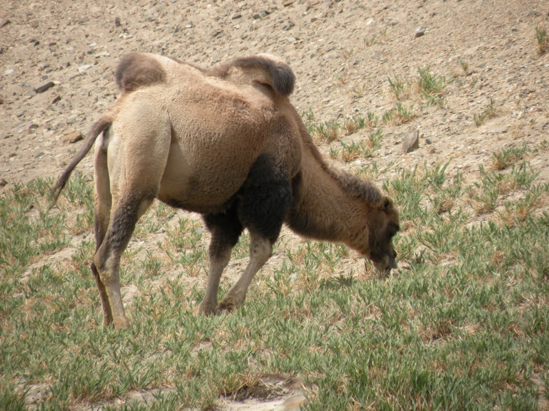 �Ҥ�iphone 1332.jpg