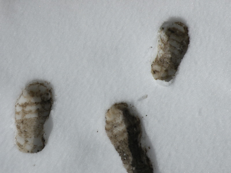 �Ҥ�iphone 1359.jpg