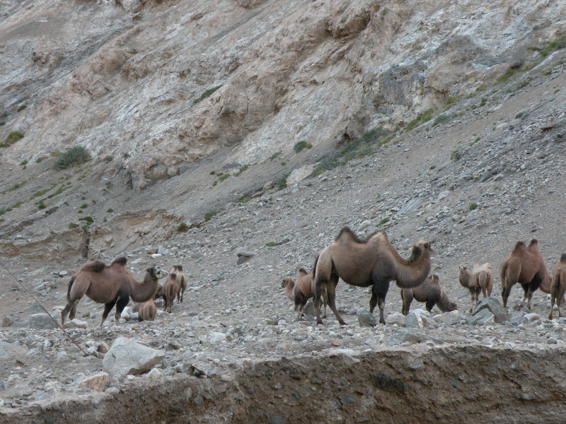 �Ҥ�iphone 1374.jpg