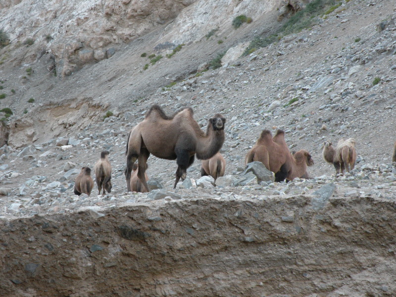 �Ҥ�iphone 1373.jpg