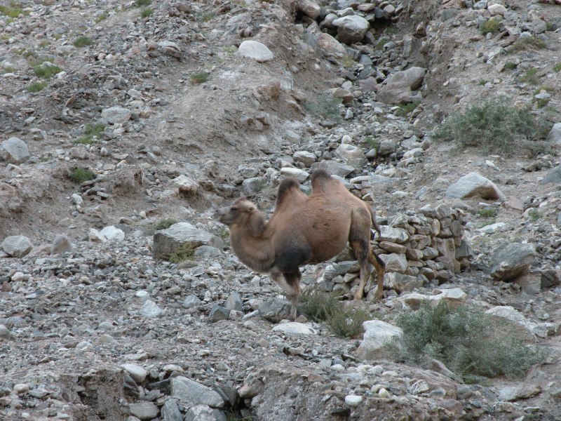 �Ҥ�iphone 1372.jpg