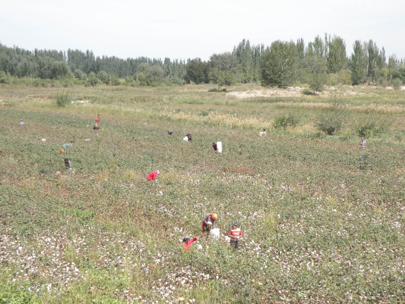 �Ҥ�iphone 1401.jpg