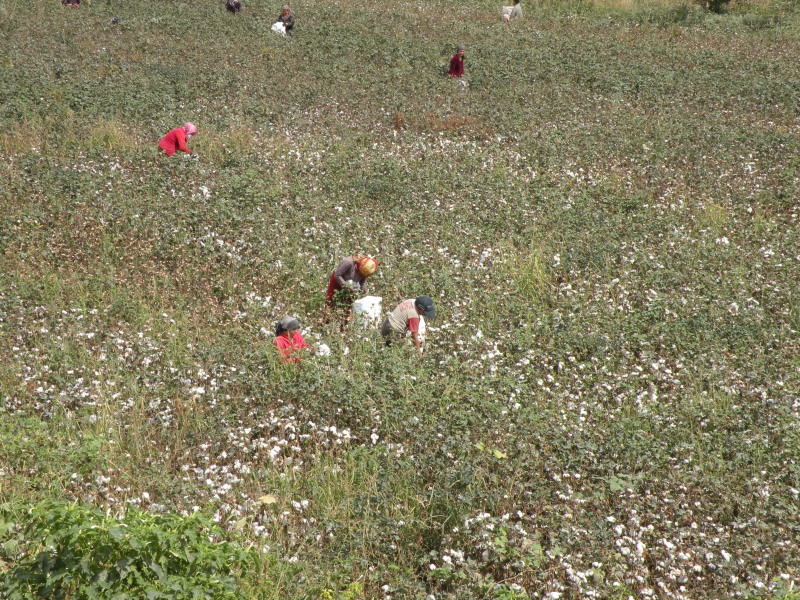 �Ҥ�iphone 1400.jpg