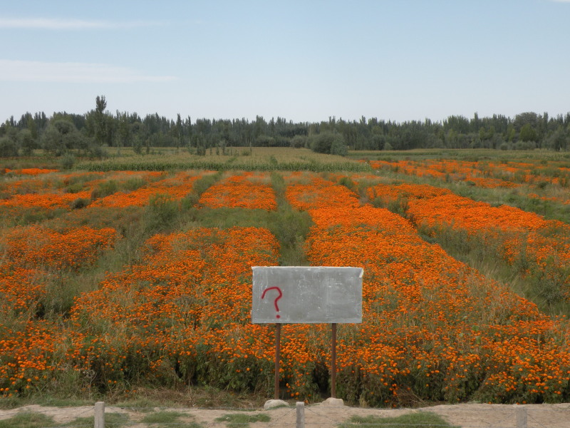 �Ҥ�iphone 1403.jpg