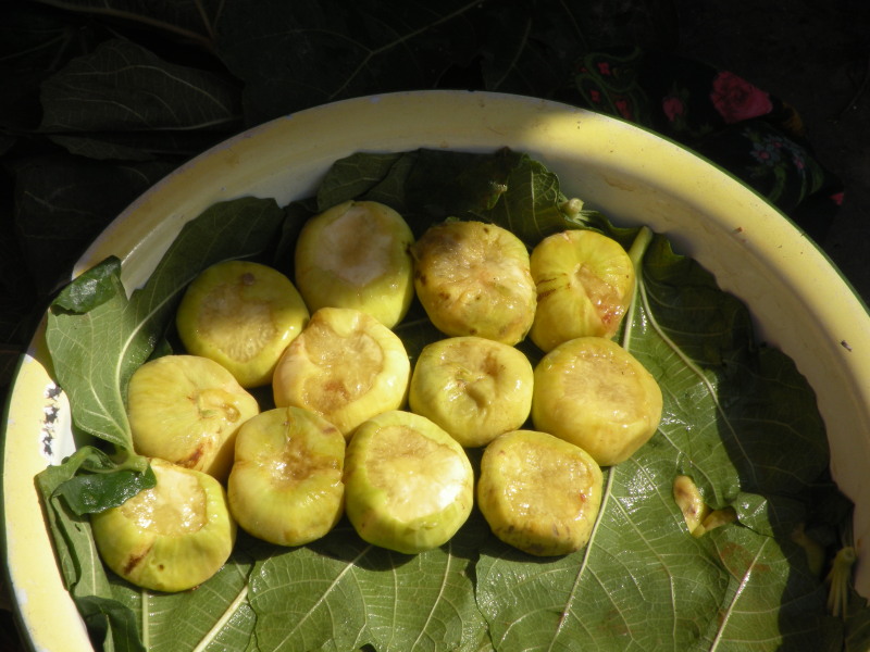 �Ҥ�iphone 1478.jpg